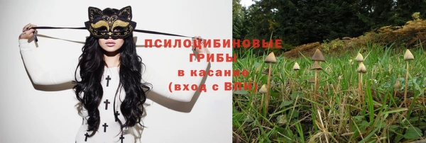 гидропоника Медвежьегорск