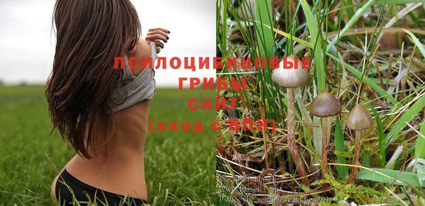 хмурый Михайлов