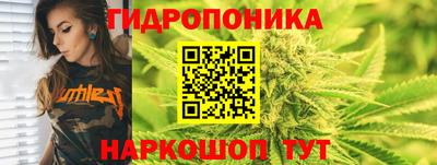 хмурый Апшеронск