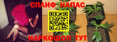 spice Изобильный