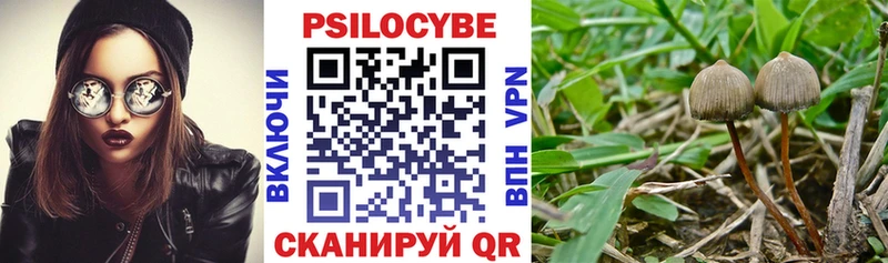 Псилоцибиновые грибы ЛСД  закладки  Новокубанск 