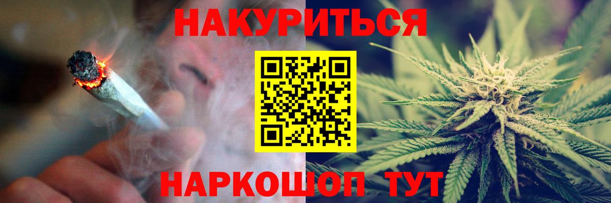 Конопля гибрид Новокубанск